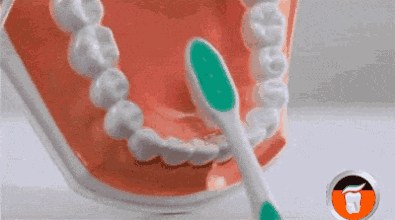 6.gif