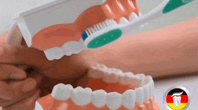 5.gif