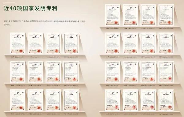 图片13(1).jpg