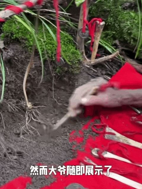 4.gif